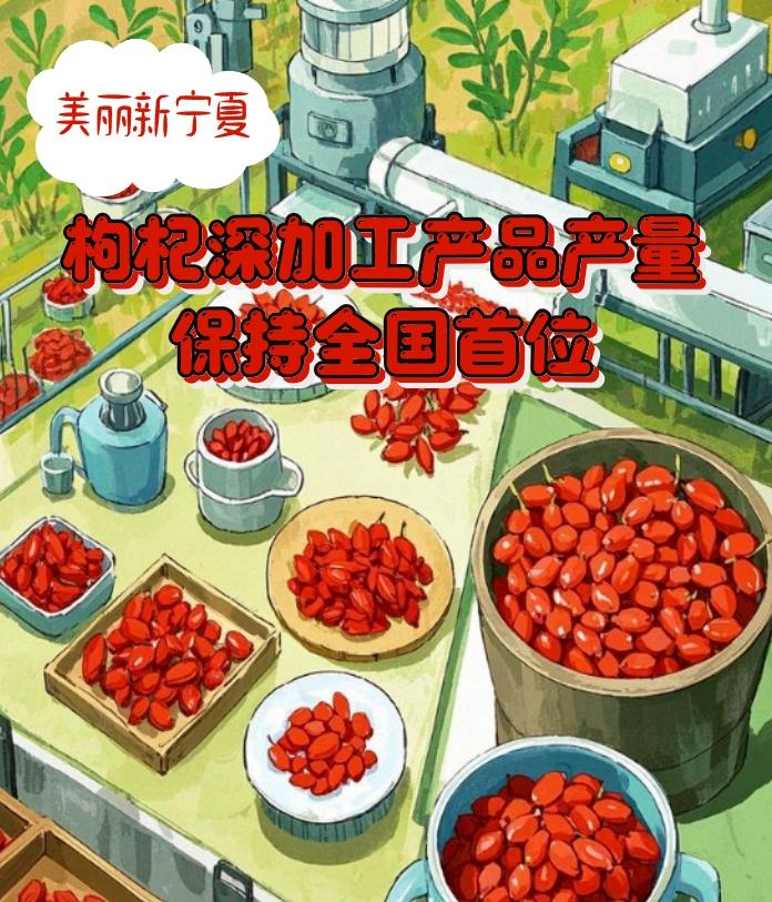 两会观察丨这，就是美丽新宁夏